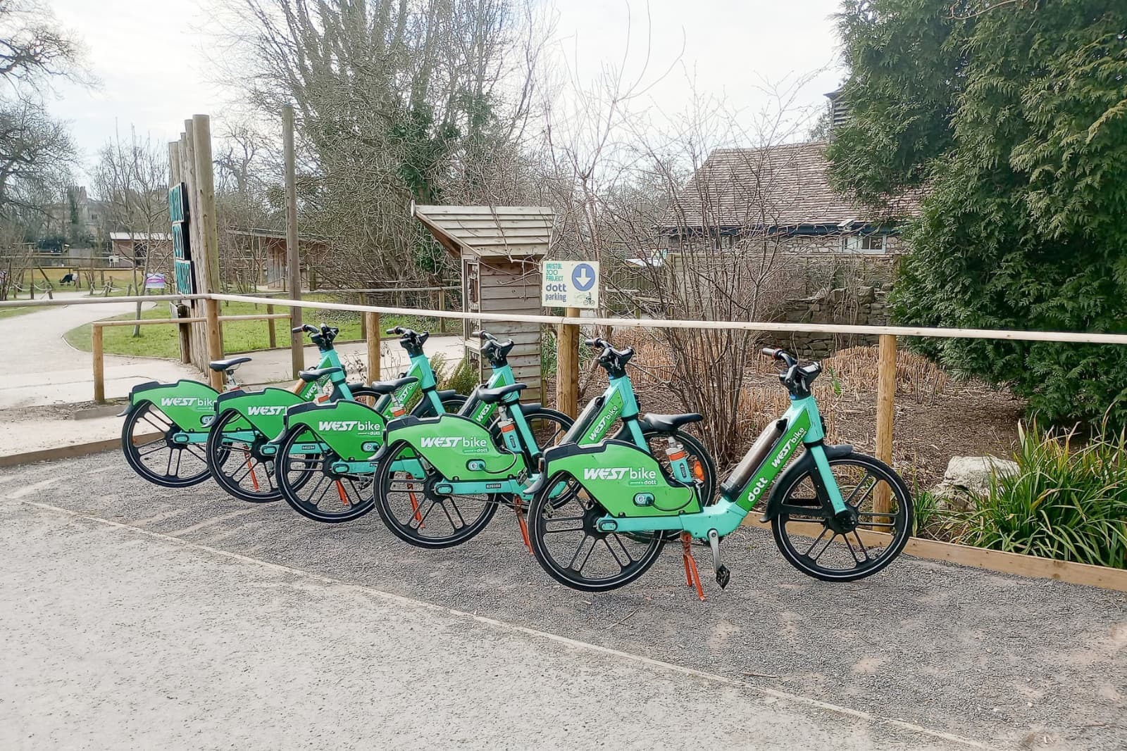 Five green West Bike rental bicycles lined up beside a wooden fence on a park path