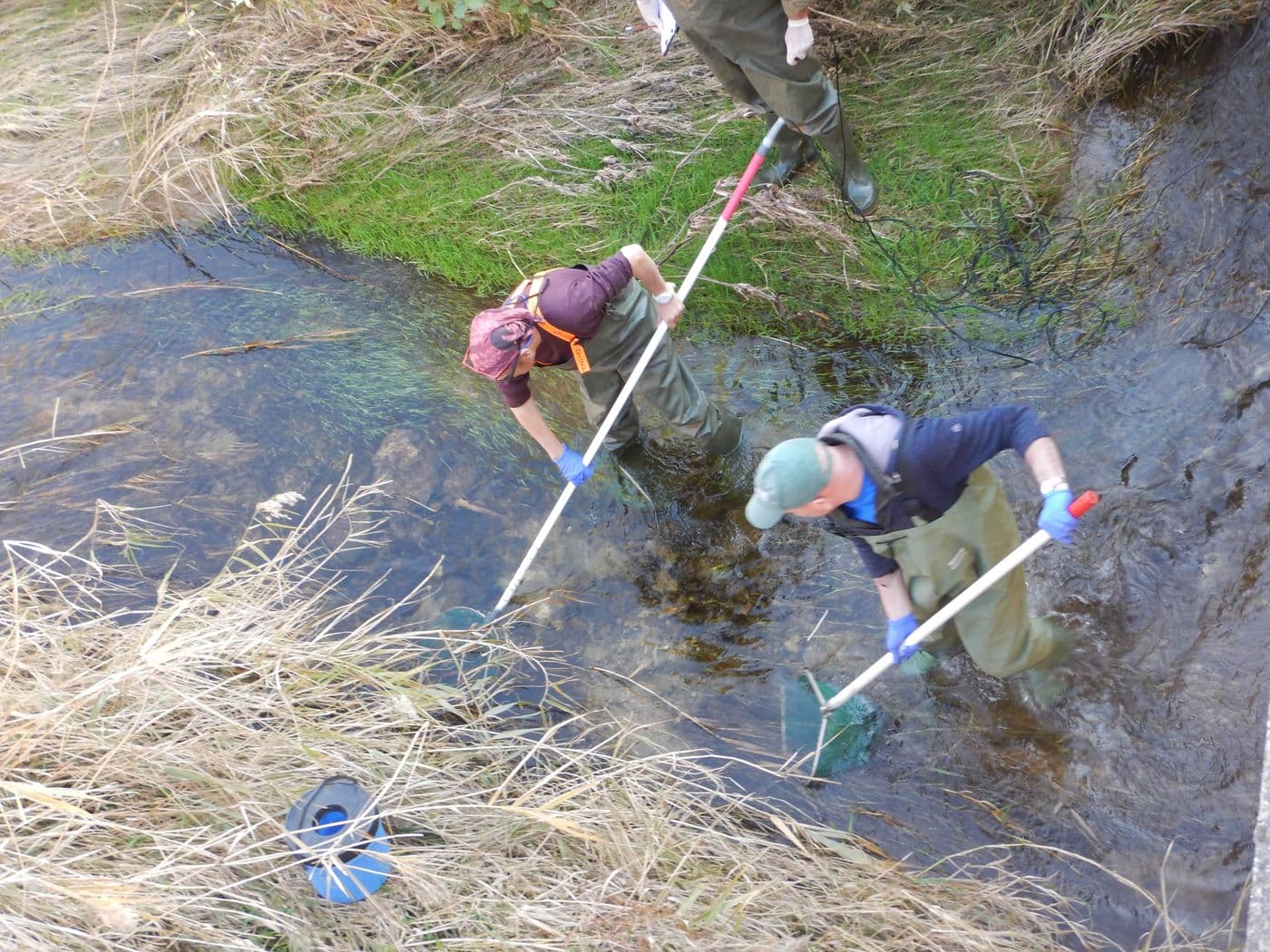 Two individuals seen from above using fish nets in a river